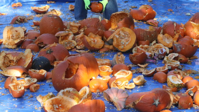 Smashing pumpkins to help the environment